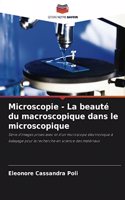 Microscopie - La beauté du macroscopique dans le microscopique
