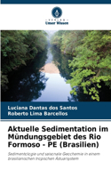 Aktuelle Sedimentation im Mündungsgebiet des Rio Formoso - PE (Brasilien)