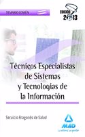Tecnicos Especialistas de Sistemas y Tecnologias de la Informacion del Servicio Aragones de Salud. Temario Comun (Spanish Edition)
