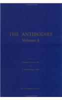 Antibodies