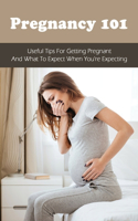 Pregnancy 101: Useful Tips For Getting Pregnant & What To Expect When You're Expecting: How To Have A Healthy Pregnancy