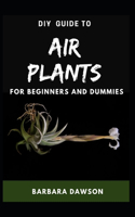 DIY Guide To Air Plants For Beginners and Dummies