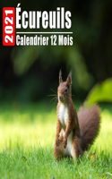Calendrier 2021 Écureuils