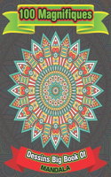 100 Magnifiques Dessins Big Book Of mandala