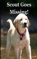 Scout Goes Missing!