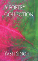 Poetry Collection
