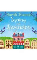 Spring at Lavender Bay