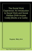 The Social Work Experience