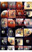 Narrow Places of the Heart and Mind, (Earth Heart, Martian Mind)
