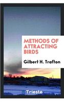 Methods of Attracting Birds