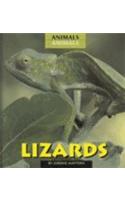 Lizards