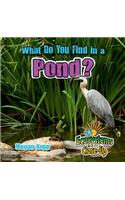 What Do You Find in a Pond?