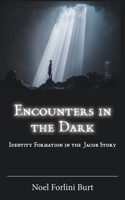 Encounters in the Dark: Identity Formation in the Jacob Story(96 Semeia Studies)