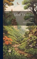 Sans famille; Tome 2