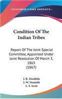 Condition Of The Indian Tribes