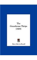 The Greenhouse Thrips (1909)
