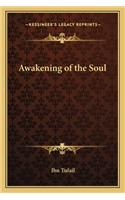 Awakening of the Soul