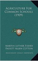 Agriculture for Common Schools (1909)