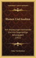 Blumen Und Insekten