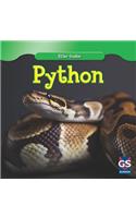 Python