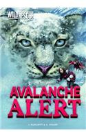 Avalanche Alert