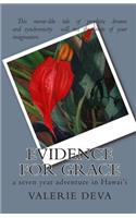 Evidence for Grace