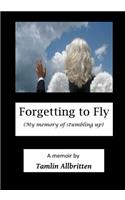 Forgetting to Fly: (My memory of stumbling up)
