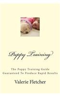 Puppy Training