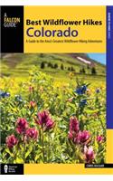 Best Wildflower Hikes Colorado