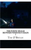 Poetic Realm between Wisdom & Chaos, 