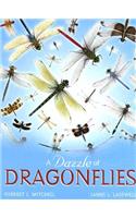 Dazzle of Dragonflies