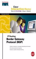 CIM IP Routing, Border Gateway Protcol (BGP)