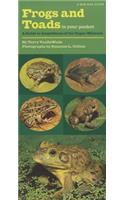 Frogs and Toads in Your Pocket