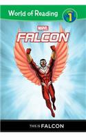 Falcon: This Is Falcon