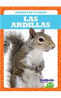 Las Ardillas (Squirrels)