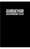 Surveyor Disgruntled