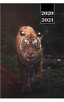 Tiger Week Planner Weekly Organizer Calendar 2020 / 2021 - White in Jungle