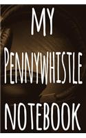 My Pennywhistle Notebook