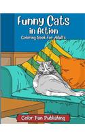 Funny Cats in Action