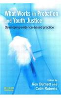 What Works in Probation and Youth Justice