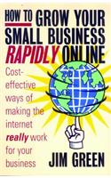 How To Grow Your Small Business Rapidly online: Cost-effective Ways to Making the Internet Really Work for Your Business