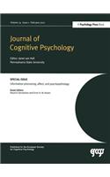 Information Processing, Affect and Psychopathology