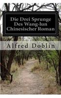 Die Drei Sprunge Des Wang-lun Chinesischer Roman