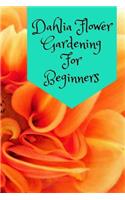 Dahlia Flower Gardening For Beginners