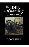 Idea of Knowing Something