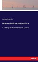 Marine shells of South Africa