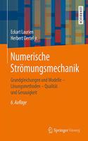 Numerische Strömungsmechanik