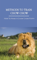 Methods To Train Chow Chow