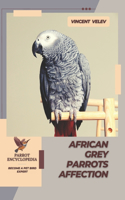 African Grey Parrots Affection