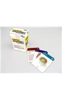 Essential Anatomy Flashcards